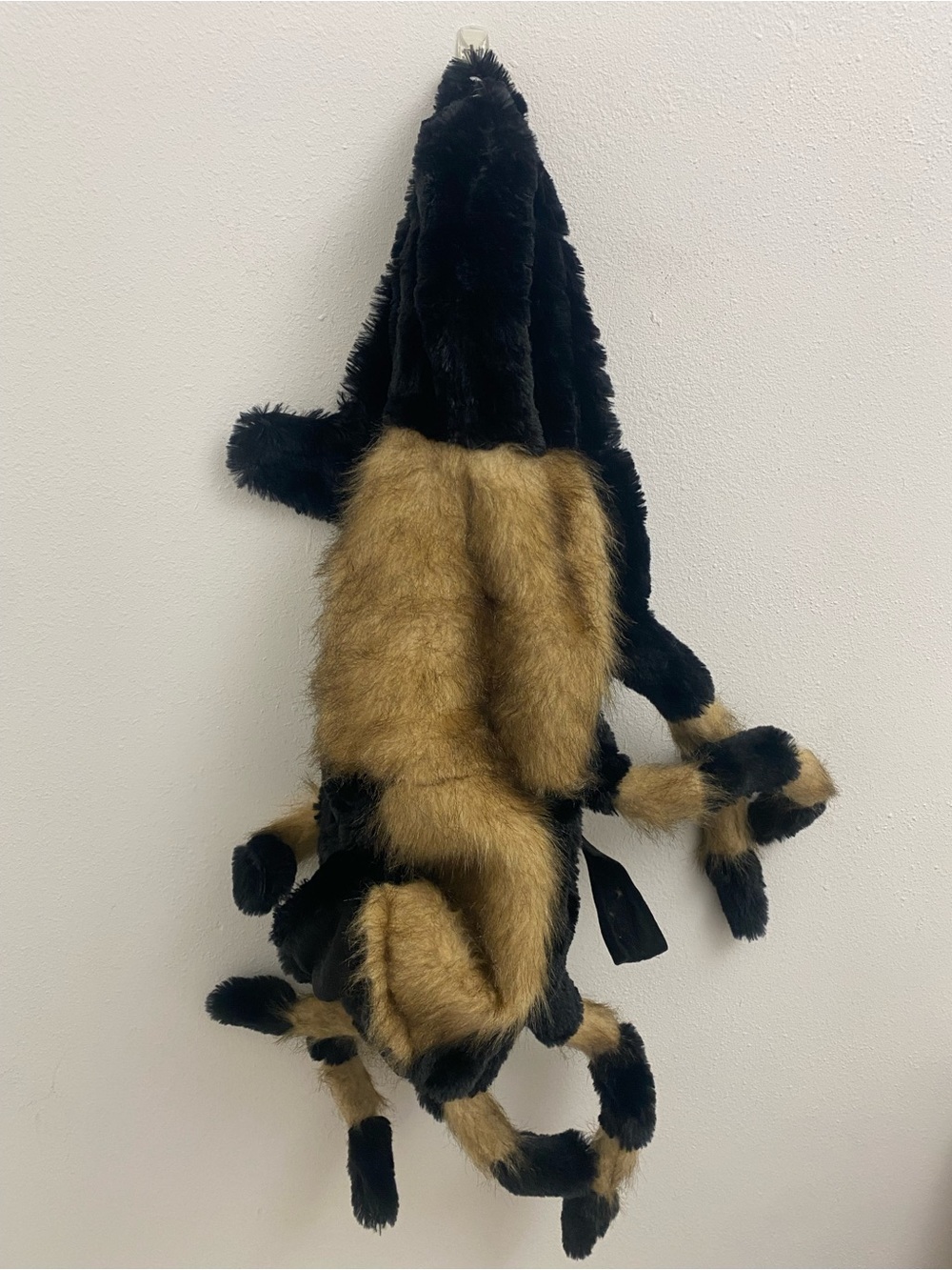 pet dog costume Halloween spider large